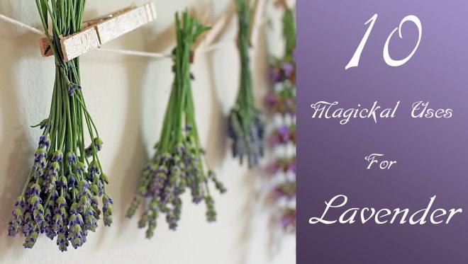 10 Magical Uses for Lavender