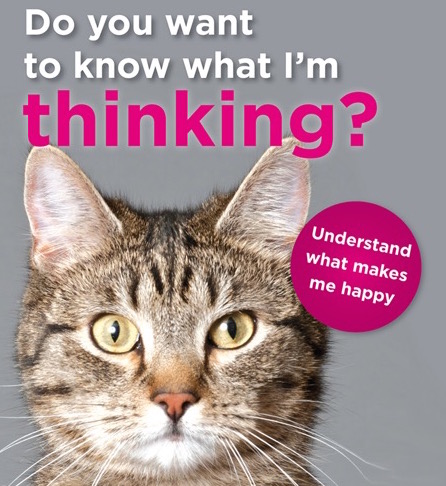 Do you want to know what I’m&nbsp;thinking?