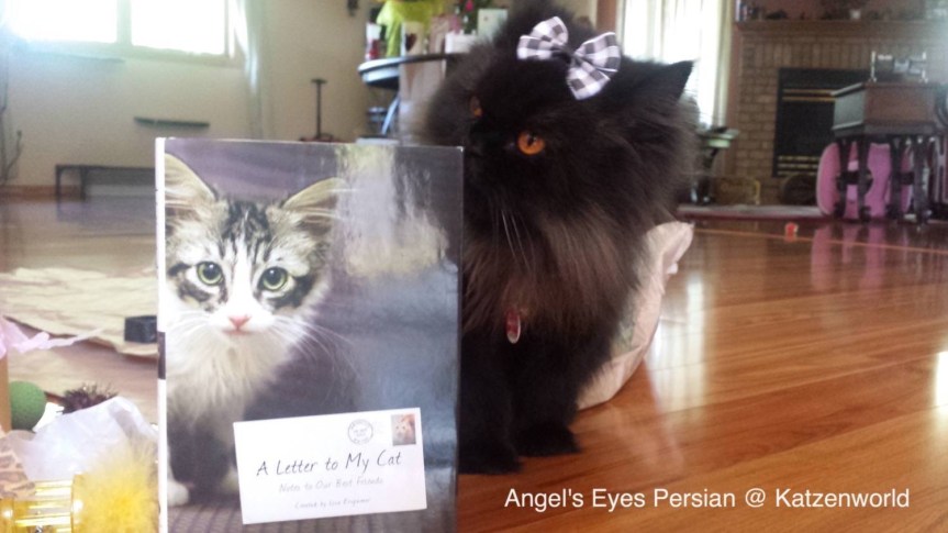 A Letter to My&nbsp;Cat