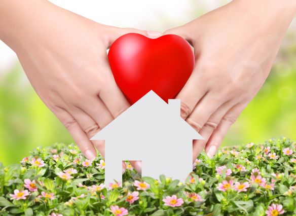 Day 9 – Oracle Card&nbsp;Challenge