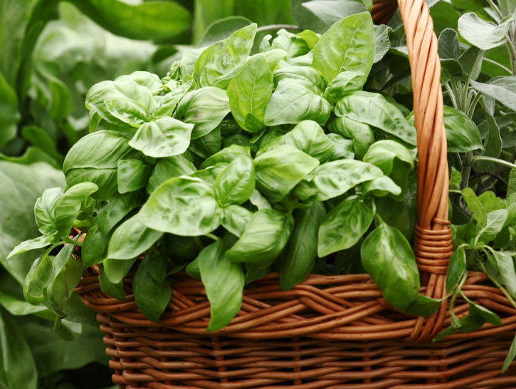 herb basket