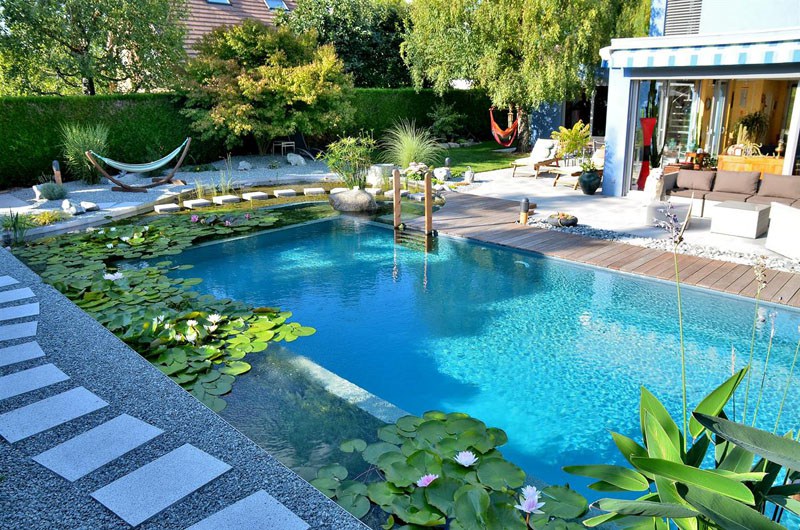 What Are Natural Swimming&nbsp;Pools?