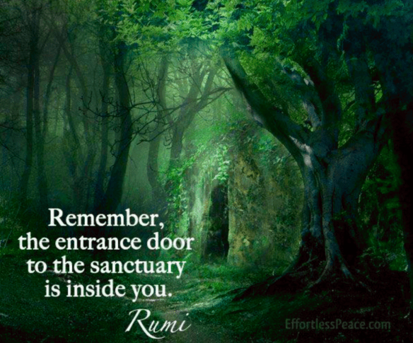 Day 1 – Oracle Card&nbsp;Challenge