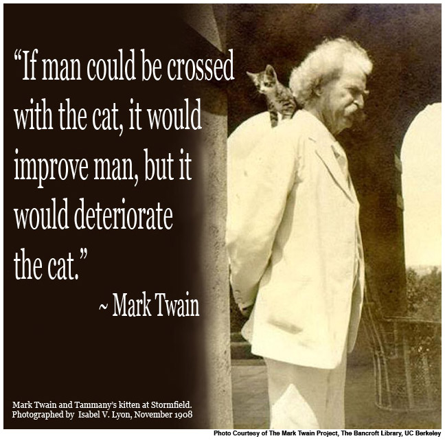 Purrsday Poetry: If Cats Had&nbsp;Thumbs