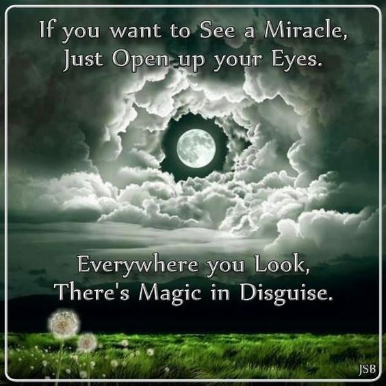 Want to See A Miracle…. — Witches Of The&nbsp;Craft®