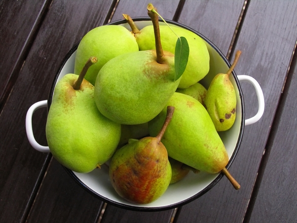 Pears