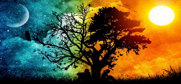 STEPHANIE LUCAS: “5 Ancient Interpretations for The Meaning of the Tree of&nbsp;Life”