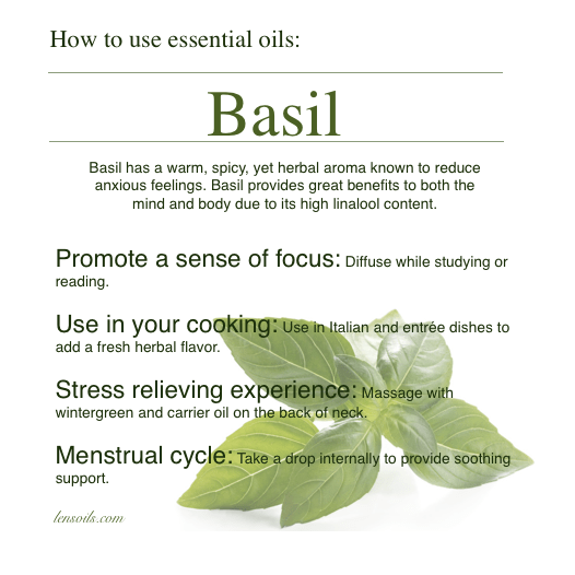 How to use basil essential oil