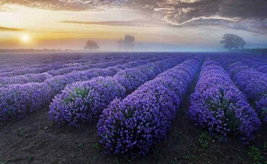 Oh What a Wonderful&nbsp;World!