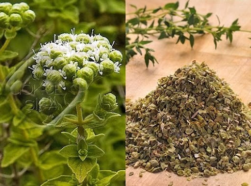 9 Health Benefits of&nbsp;Thyme