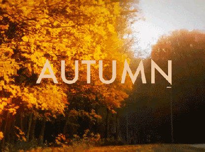 autumn
