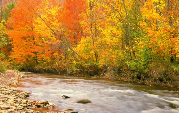 Weekly Spell Casting September 19 – September 25, 2016