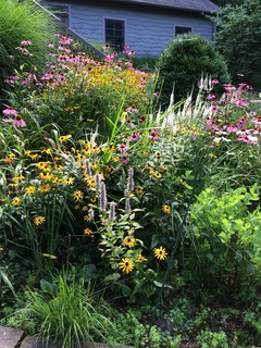 Photo Gallery: Summer Gardens Take a&nbsp;Bow