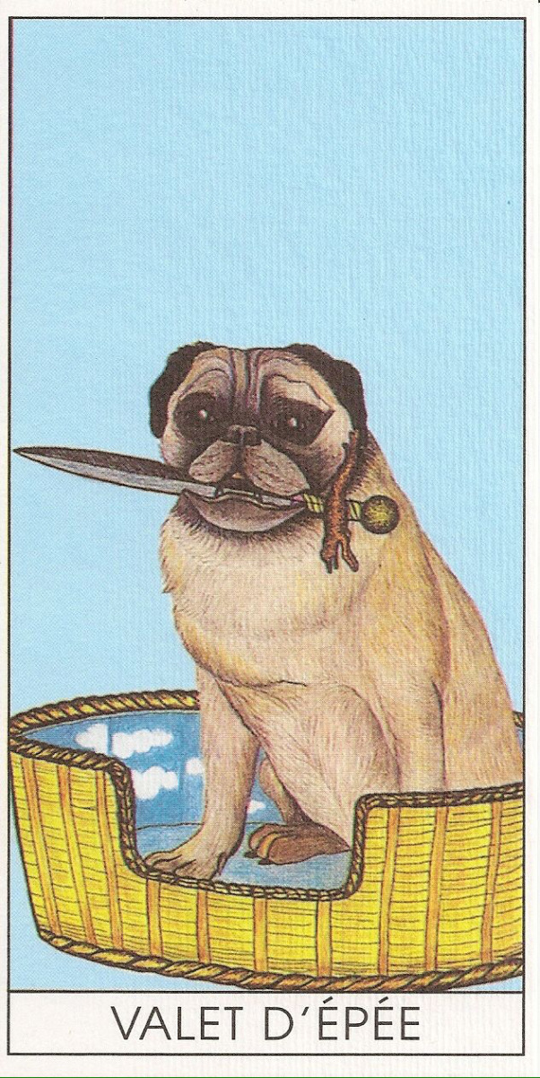 Card of the Day – Page of Swords – Friday, September 30, 2016 — Tarot by&nbsp;Cecelia