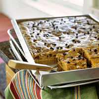 Gluten Free Pumpkin Chocolate Chip Bars 