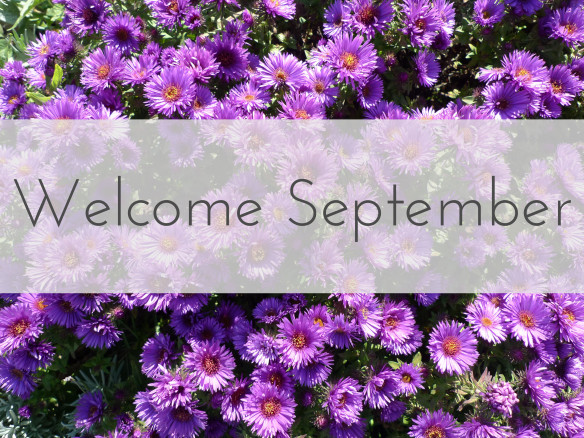 hello september
