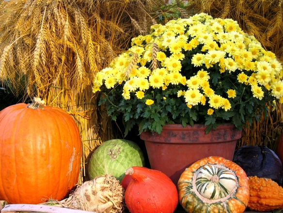 Weekly Spell Casting October 3 – October 9, 2016 