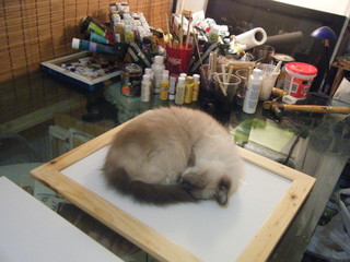 Send in the Design&nbsp;Cats