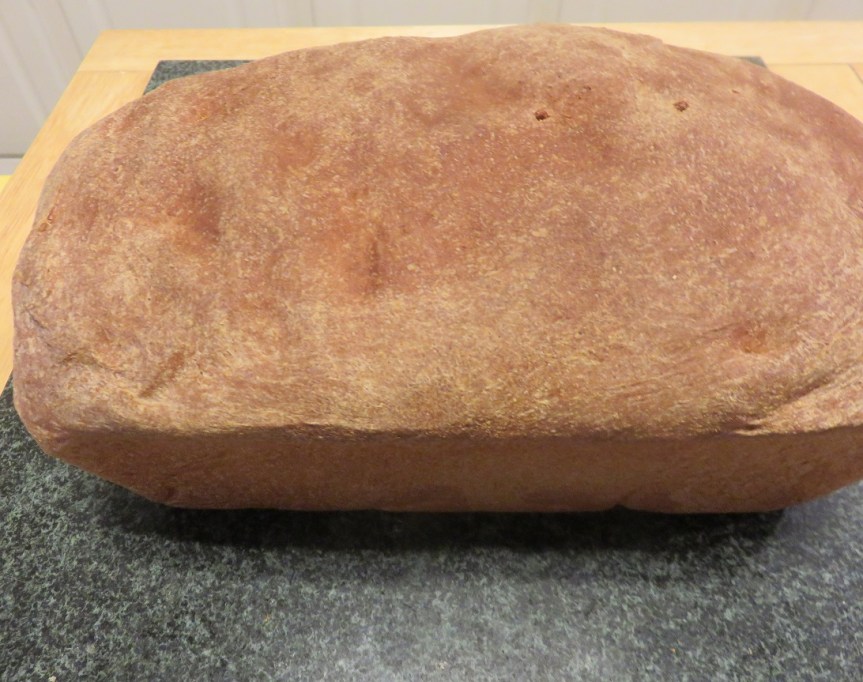 Making Sandwich Bread