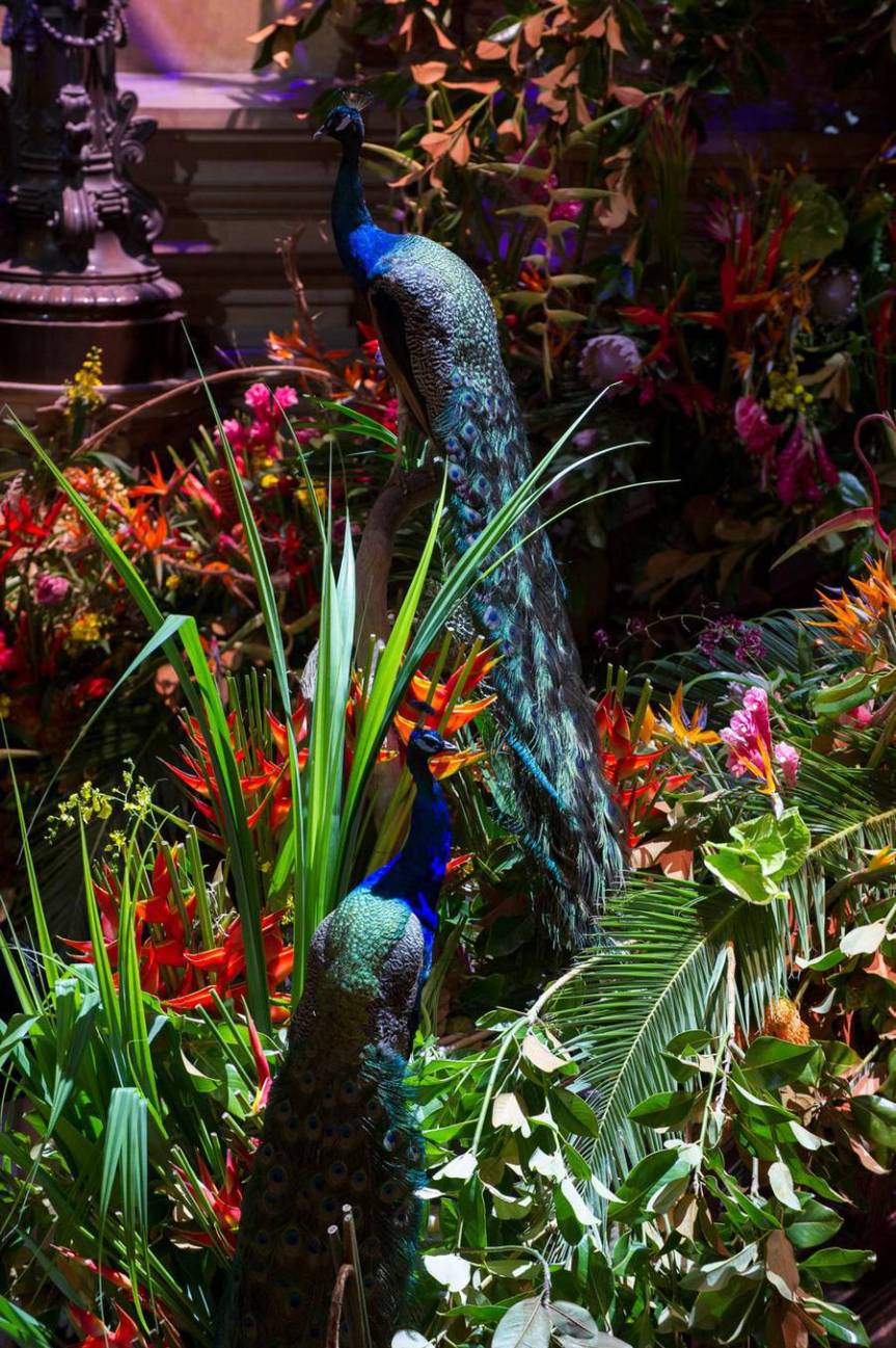 Opera de Paris Opening Gala for Season&nbsp;16/17