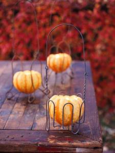 pumpkin-lights