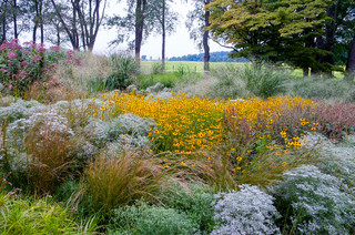 Plant a Wildflower Garden in Fall for Spring&nbsp;Blossoms