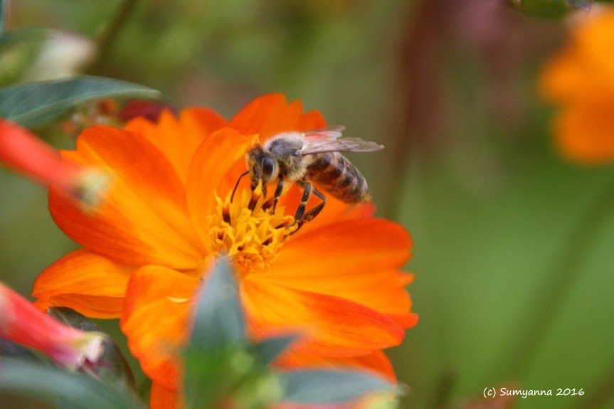 Because I Don’t Have a Photographic Memory (Part&nbsp;1)