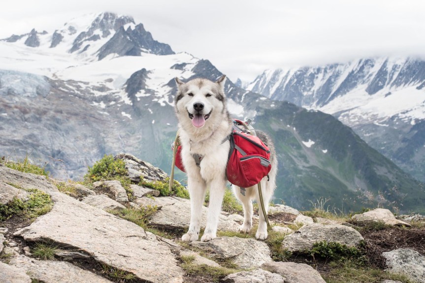 On the Haute Route: Chamonix to Zermatt&nbsp;(1)