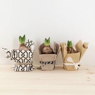 DIY: Make a Sweet Gift of Future&nbsp;Blooms