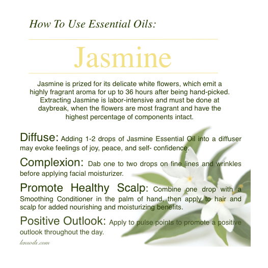 How to Use Essential&nbsp;Oils