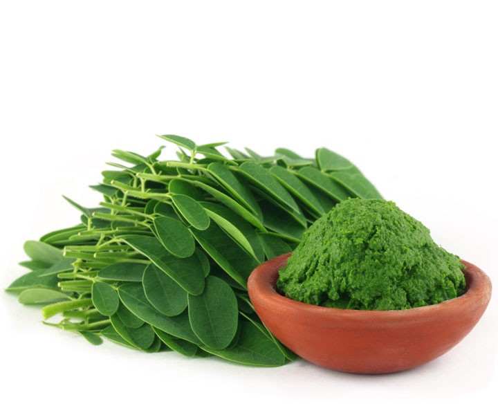 moringa-1