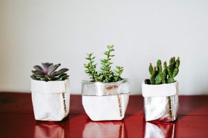 Urbana Sacs Creative Sac: Paper bag becomes a&nbsp;vase