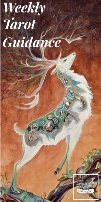 Weekly Tarot Guidance – December 11 through 18, 2016 — Tarot by&nbsp;Cecelia