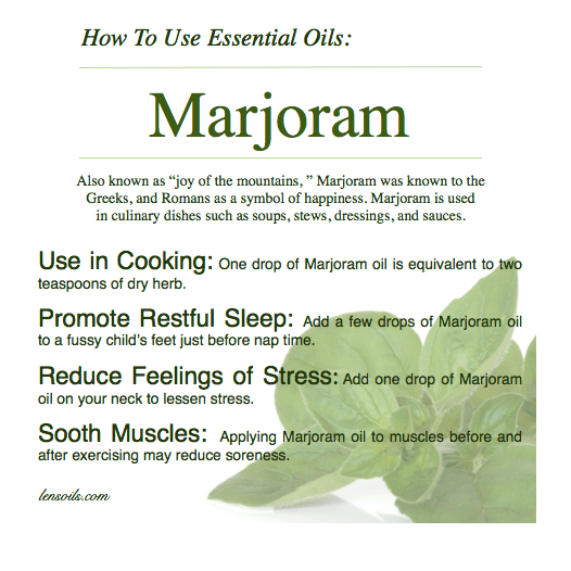 How to Use Essential Oils — Len’s&nbsp;Oils