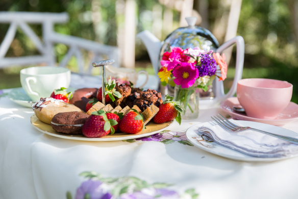 A cup of tea for us, under the Jacaranda tree here at my farm!