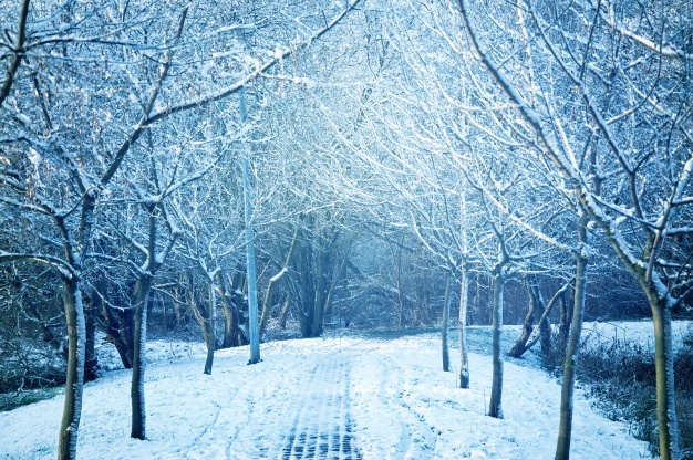 Weekly Spell Casting January 2 – January 8, 2017