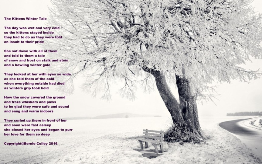 Purrsday Poetry: The Kittens Winter Tale by Bernie&nbsp;Colley