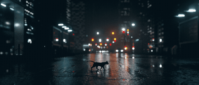 PAUSE 2017 OPENING&nbsp;TITLES