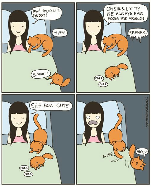 aad0b0b02f752e1ff06bb71b8b8d9dec-510x628