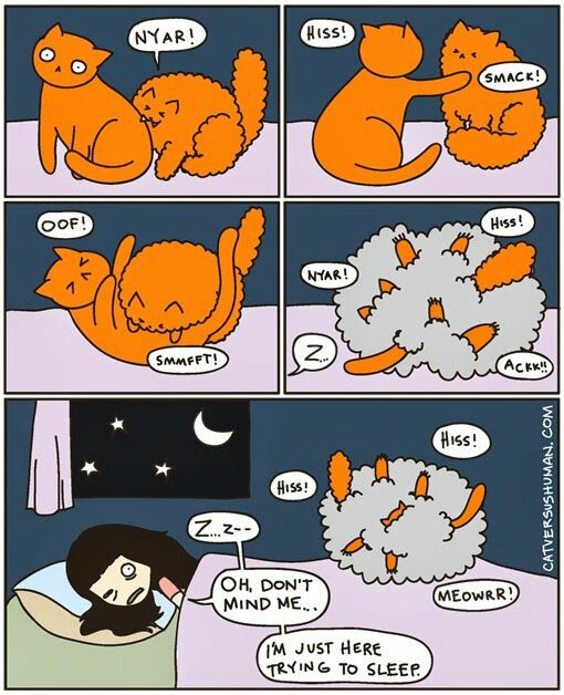 bfc9bec90478541b218e3348e90149f8-510x628