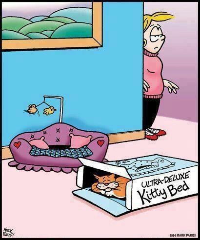 fd5c58675f49a3f8ec688b5ca1466c99-410x492