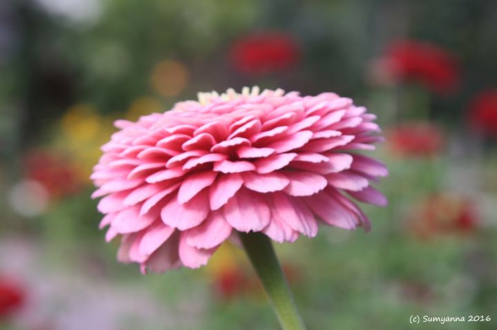 Because I Don’t Have a Photographic Memory (Part&nbsp;#13)