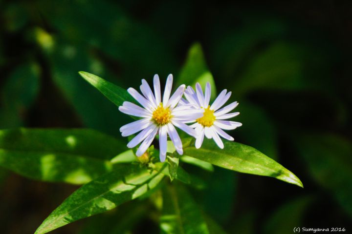 Because I Don’t Have a Photographic Memory (Part&nbsp;#17)