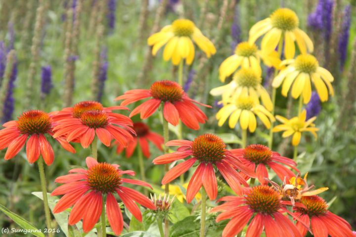 Because I Don’t Have a Photographic Memory (Part&nbsp;#14)