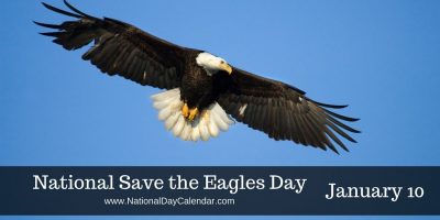 national-save-the-eagles-day-january-10-e1481567521195