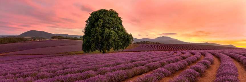STUNNING PANORAMIC LANDSCAPES
