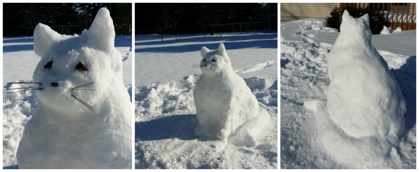 Snow Cat