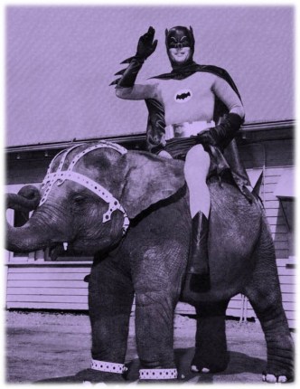 Batman Elephant purple
