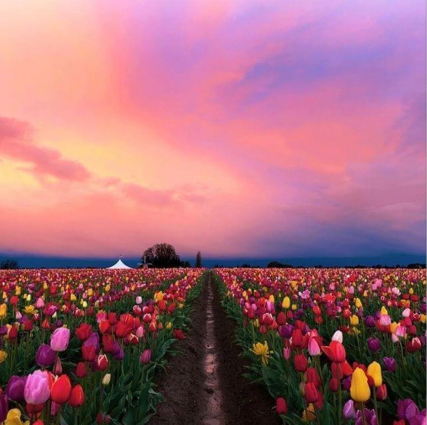 Weekly Tarot Guidance – February 20 through 26,&nbsp;2017