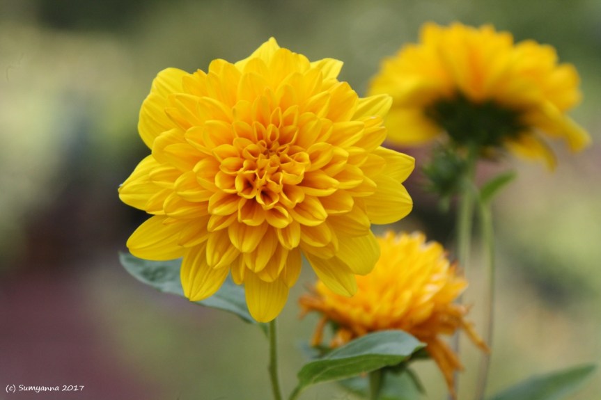 Because I Don’t Have a Photographic Memory (Part&nbsp;#21)